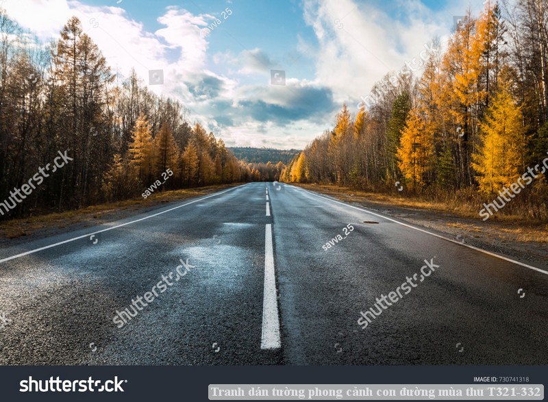 Tranh dán tường phong cảnh con đường mùa thu T321-332